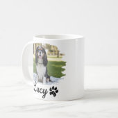 Mug Photo de Cavalier King Charles Spaniel (Devant gauche)