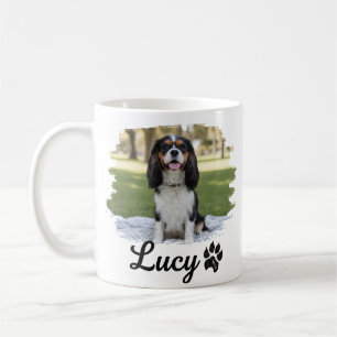 Mug Photo de Cavalier King Charles Spaniel
