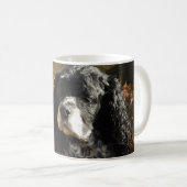 Mug Photo de Cocker Spaniel noir et blanc (Devant droit)