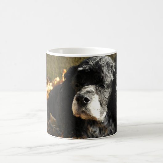 Mug Photo de Cocker Spaniel noir et blanc (Centre)