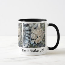 Photo de CUB de guépard de sommeil