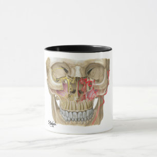 Mug Photo de détenu Pterygopalatine de Fossa