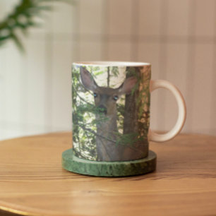 Mug Photo de la faune d'Alert Mule Deer