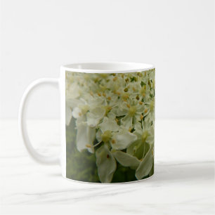Mug Photo de la fleur sauvage de la Reine Anne lace