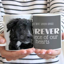Photo de la sympathie de la mémoire des animaux de
