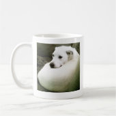 Mug Photo de l'élégant chien blanc courbé sur un canap (Gauche)