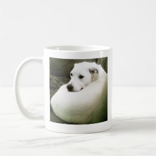 Mug Photo de l'élégant chien blanc courbé sur un canap
