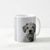 Mug Photo de portrait de chiot Schnauzer (Devant droit)