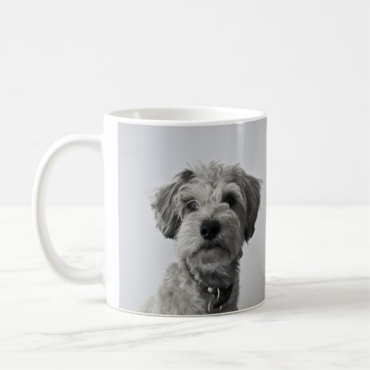 Mug Photo de portrait de chiot Schnauzer (Gauche)