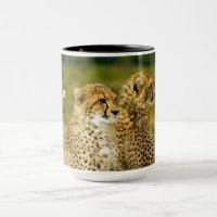 Photo de Wildlife Cheetah