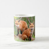 Mug Photo des kits adorables de renard rouge (Centre)