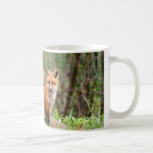 Mug Photo des kits adorables de renard rouge
