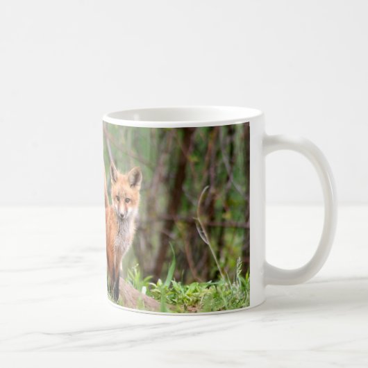Mug Photo des kits adorables de renard rouge (Droite)