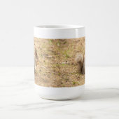 Mug Photo d'un écureuil mignon mangeant une noix (Centre)