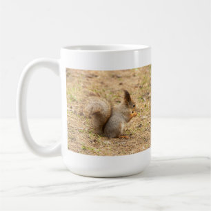 Mug Photo d'un écureuil mignon mangeant une noix