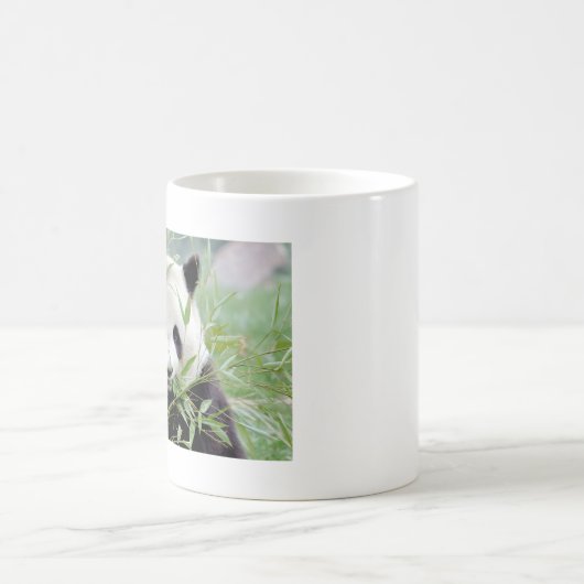 Mug Photo panda géant, animaux 0004. (Centre)