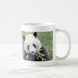 Mug Photo panda géant, animaux 0267.