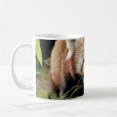 Mug Photo panda rouge, animaux. (Gauche)