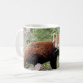 Mug Photo panda rouge, animaux. tasse de café (Devant gauche)