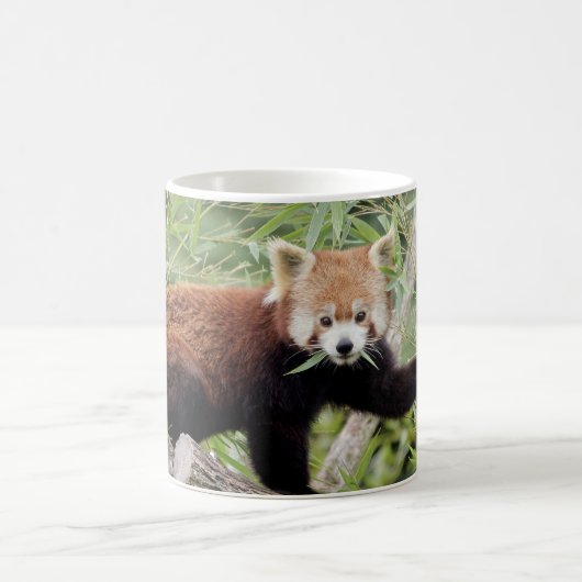 Mug Photo panda rouge, animaux. tasse de café (Centre)