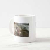Mug Photo Rainbow Trump (Devant gauche)