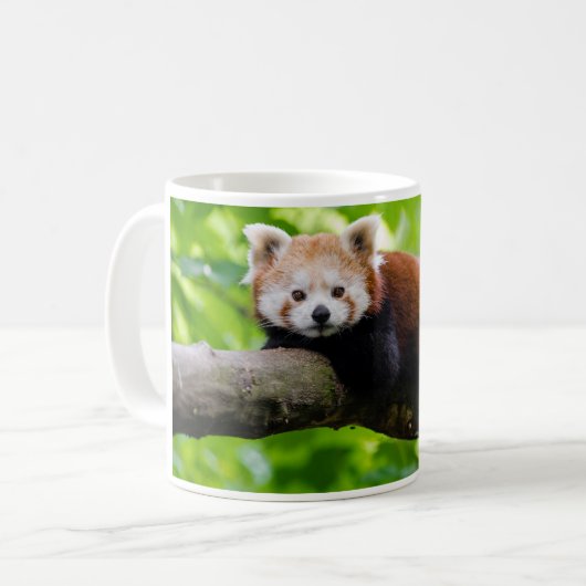 Mug Photo Red Panda Bear (Devant gauche)