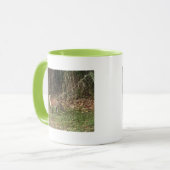 Mug photo Renard (Devant gauche)