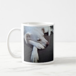 Mug Photo Sleeping Chien Rapide récupération obtenir b