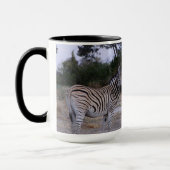 Mug Photo Zebra Double Take (Gauche)
