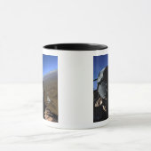 Mug Photographe de combat aérien de l'armée de l'air a (Centre)
