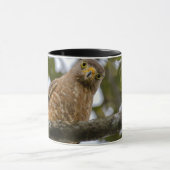 Mug Photographie de Belizean Roadside Hawk (Centre)