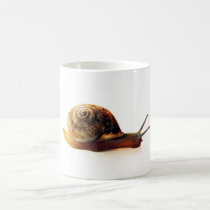 Mug Photographie de la nature d'un escargot de jardin