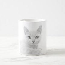 Photographie de portrait de chaton SUPER MIGNON