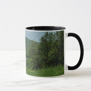 Mug Photographie d'été dans les Laurel Highlands en Pe