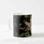 Mug Phylloscopus collybita (Devant gauche)