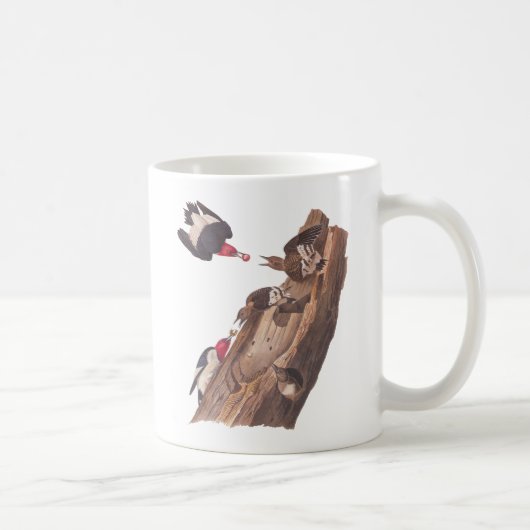 Mug Pic à tête rouge d'Audubon (Droite)