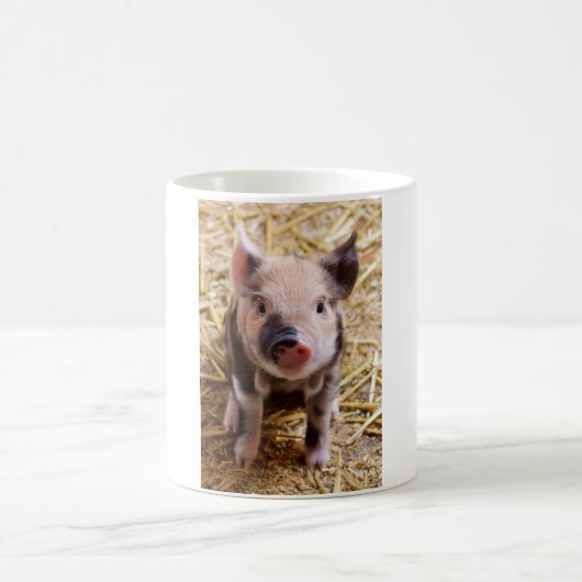 Mug PIC mignonne d'un porc de bébé (Centre)