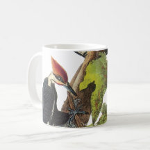 Pic piloté par Audubon