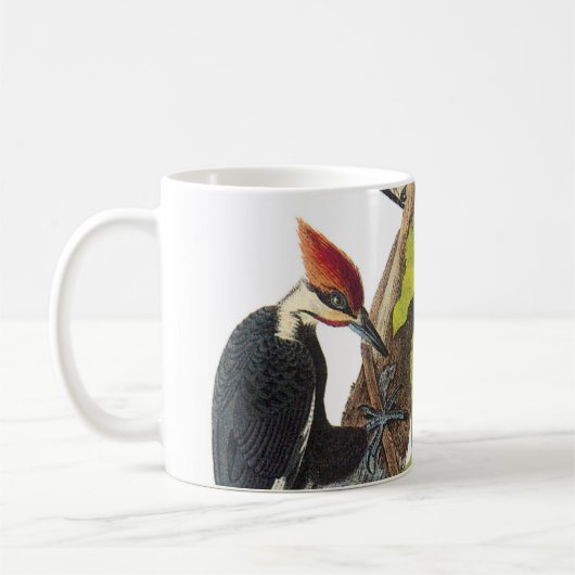 Mug Pic piloté par Audubon (Gauche)