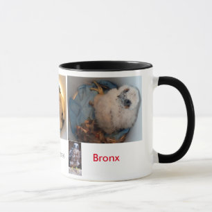 Mug PICS 2015 de seau de Rfalconcam