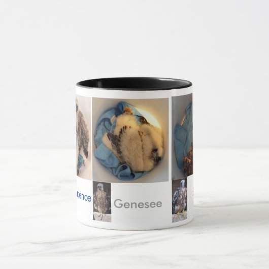 Mug PICS 2015 de seau de Rfalconcam (Centre)