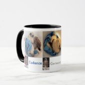 Mug PICS 2015 de seau de Rfalconcam (Devant gauche)