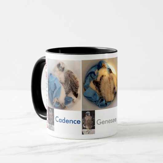 Mug PICS 2015 de seau de Rfalconcam (Devant gauche)