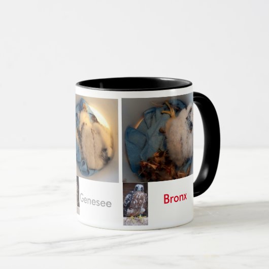 Mug PICS 2015 de seau de Rfalconcam (Devant droit)