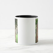 Mug Pierre runique (Centre)