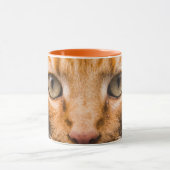 Mug Pierrot de chats (Centre)