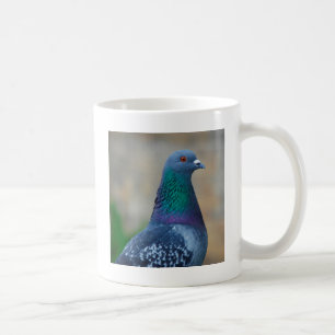 Mug Pigeon