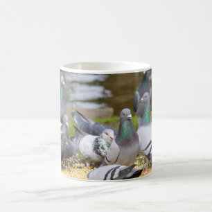Mug pigeons