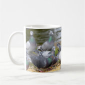 Mug pigeons (Gauche)