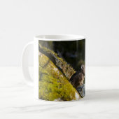 Mug Pika prenant le soleil du soir (Devant gauche)